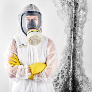Mold removal mississauga