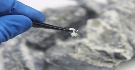 Asbestos Removal Services