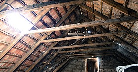 Attic Mold Removal