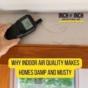 home air quality inspection for dampness and mold