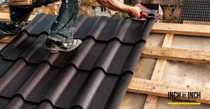 mold removal for attic and roof sheathing