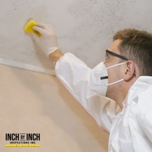 Can Mold Grow Without Any Visible Water Damage?