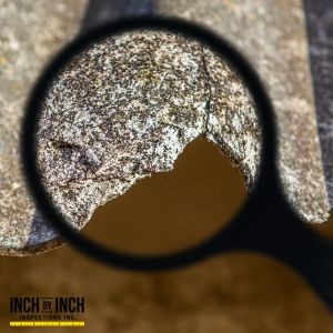 The Role of Air Quality Testing in Safe Asbestos Removal