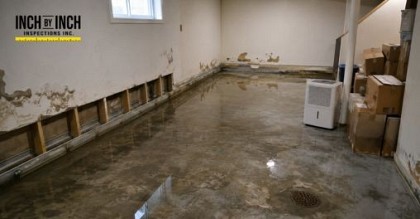 water damage leading to basement mold