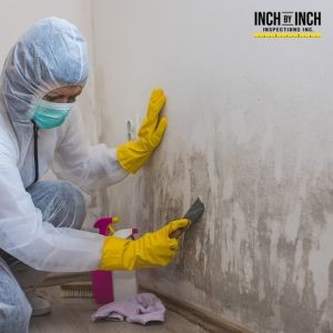3 Overlooked Signs You Have Mold Growing in Your Home
