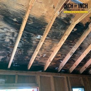 How Insulation Problems Contribute to Mold