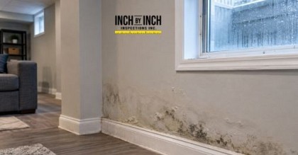 attic mold spreads to living areas