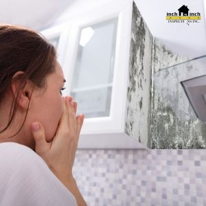 What to Know About Mold Growth Behind Kitchen Cabinets