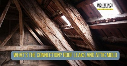roof with leaks that leads to mold infestation in attic
