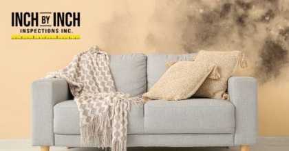 Why Mold Keeps Coming Back in Your Home