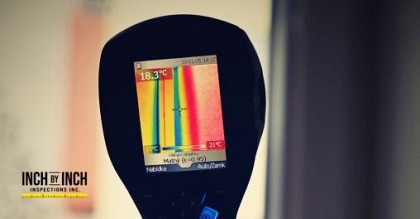 thermal scan for mold removal during home inspection