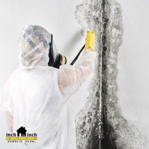 Can Air Quality Testing in Mississauga Detect Hidden Mold?