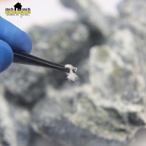 The Connection Between Home Insurance Claims and Asbestos Discovery