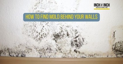 black mold infestation around wall