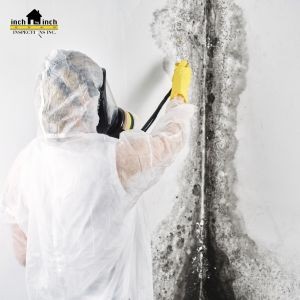 Why Mold Keeps Coming Back Even After You Clean It