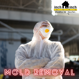 mold remediation toronto