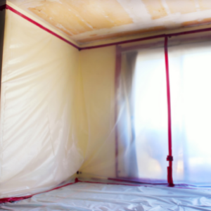 asbestos removal services burlington
