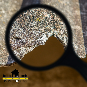 asbestos removal Toronto