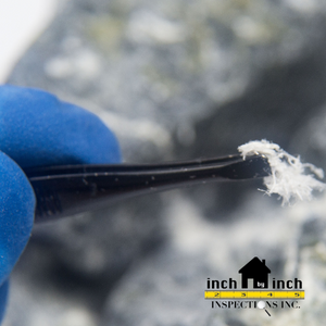 asbestos inspection and testing