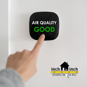 home air quality tests