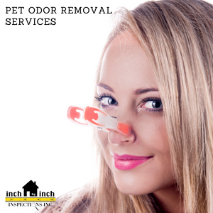 pet odour removal
