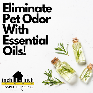 essential oil pet odor removal