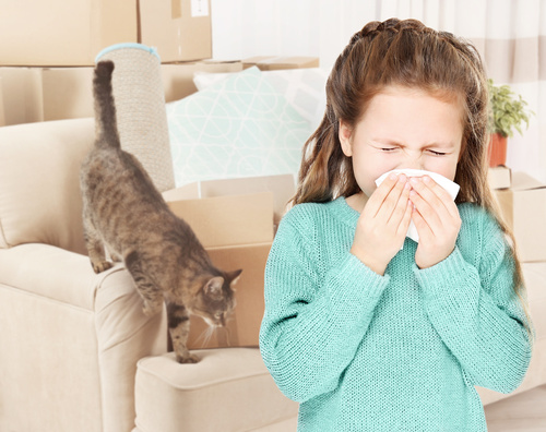 sneezing allergic indoor air quality issues respiratory issues infection