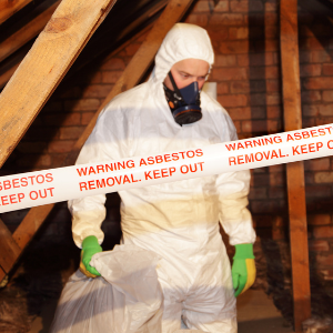 asbestos removal servies burlington
