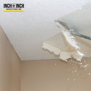 asbestos removal mississauga