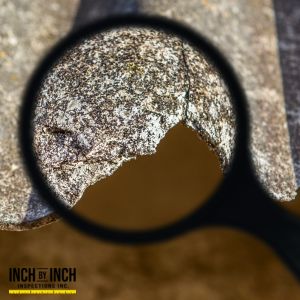 asbestos removal toronto