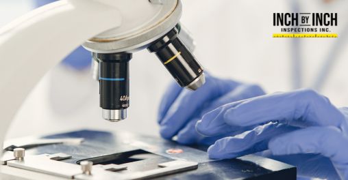 asbestos testing kits compared to professional lab testing