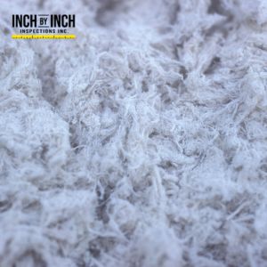 asbestos testing oakville