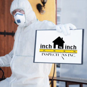 mold removal company in Toronto